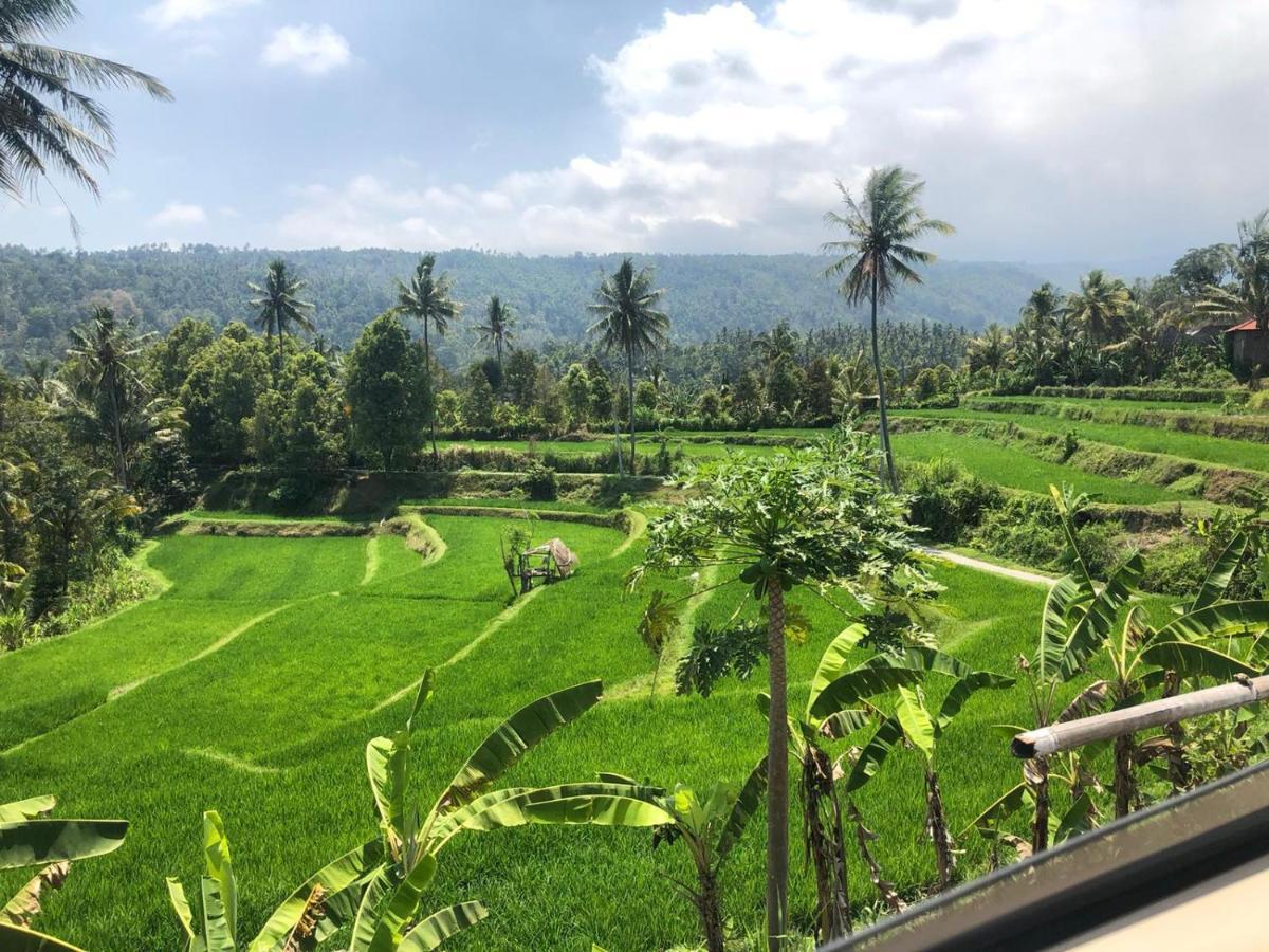 Tegal Sari, Pemuteran- North Bali Hotel Exterior photo